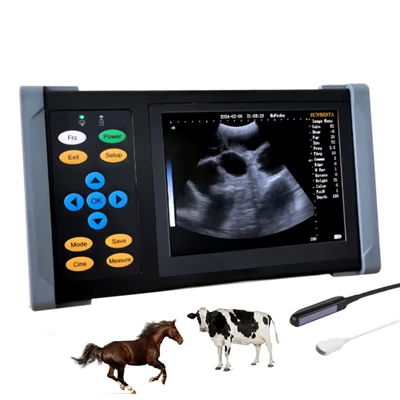 Macchina per ultrasuoni equini